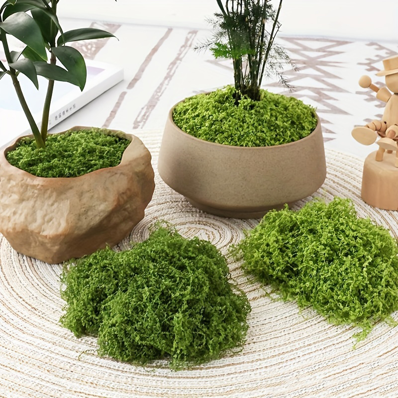 Sphagnum Moss Dry - 20g/0.7oz Artificial Garden Fabric Moss Outdoor