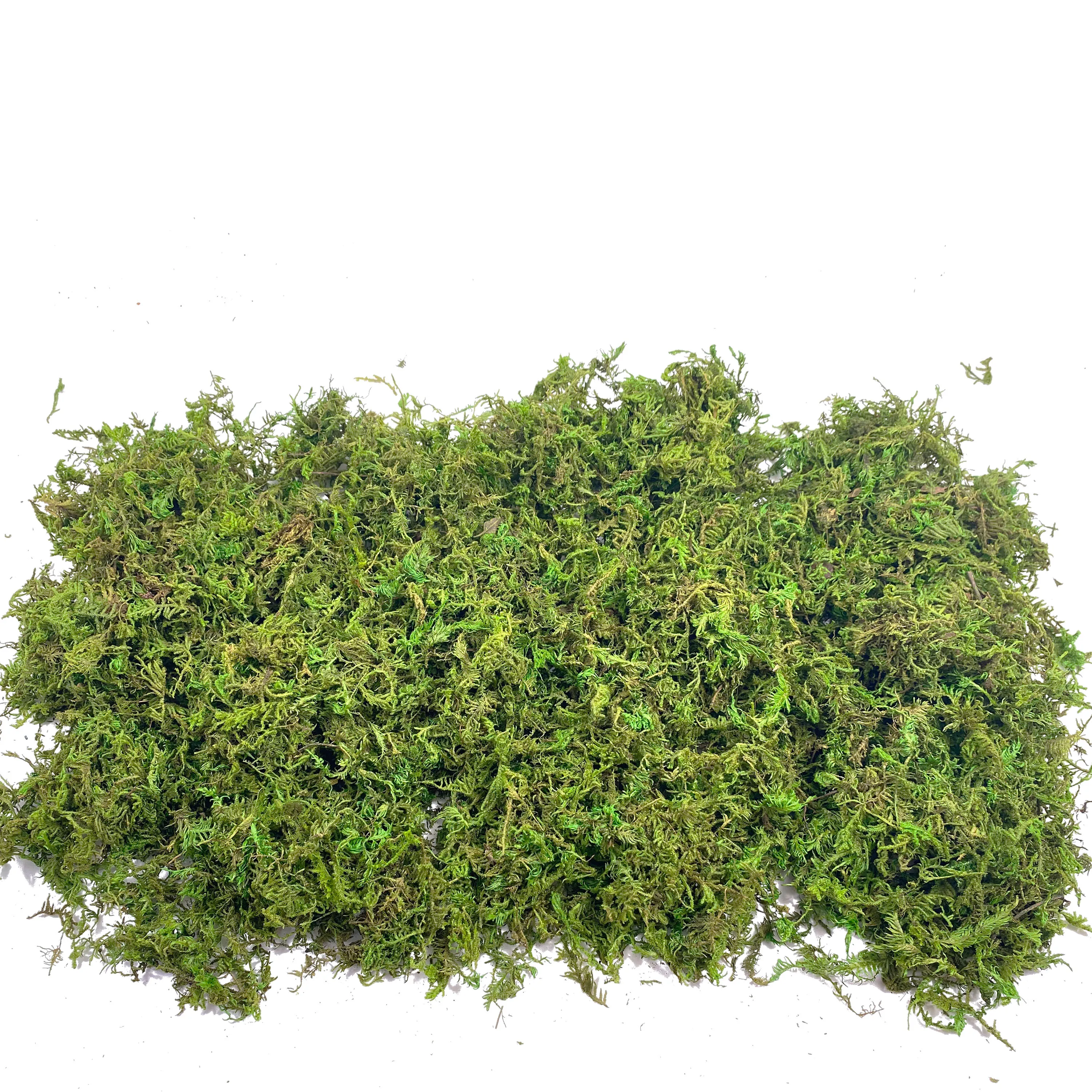 Fake Moss Artificial Moss for  - Sphagnum Moss Dry 리뷰 및 가격