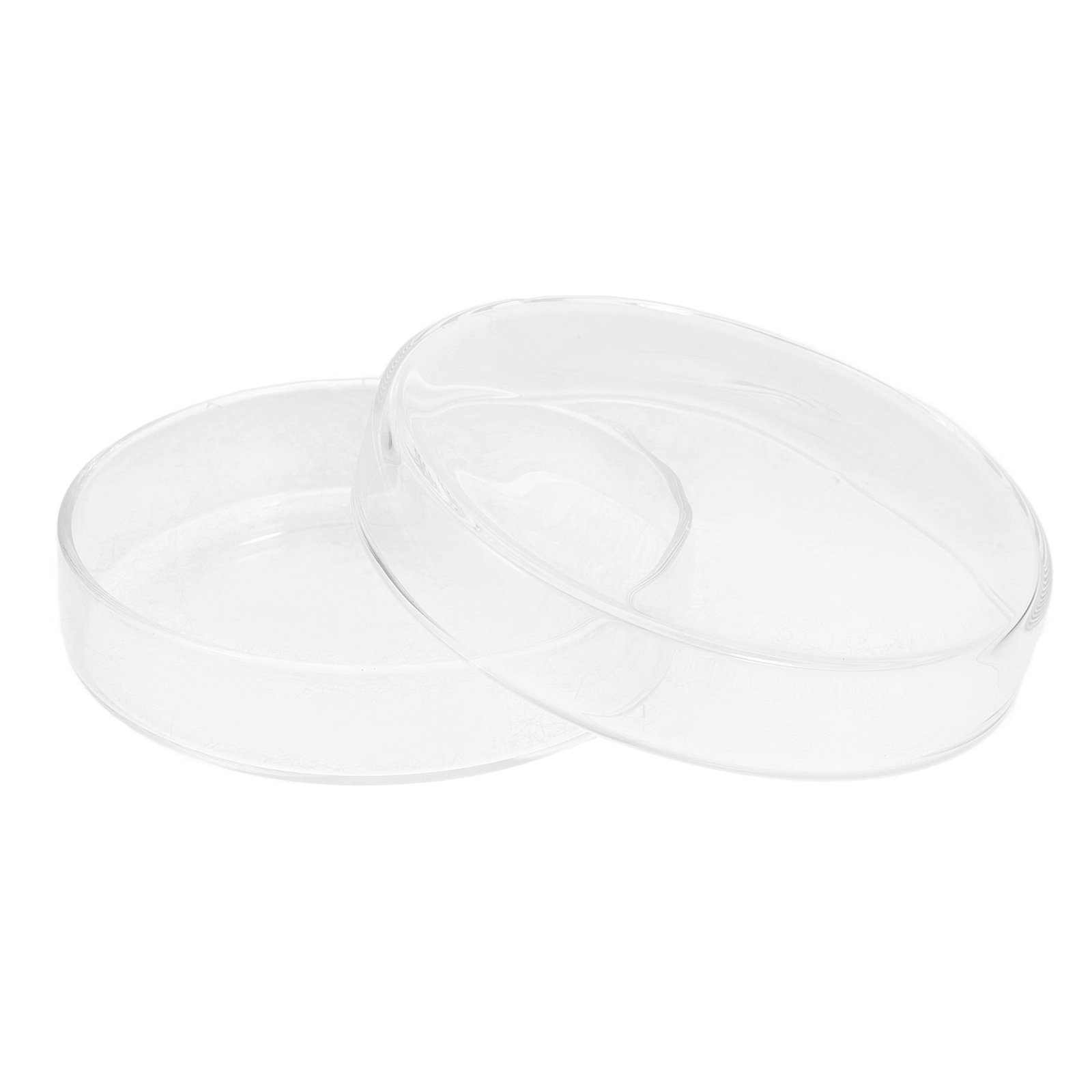Glass Petri Dish High Borosili - Agar Tissue Culture 리뷰 및 가격