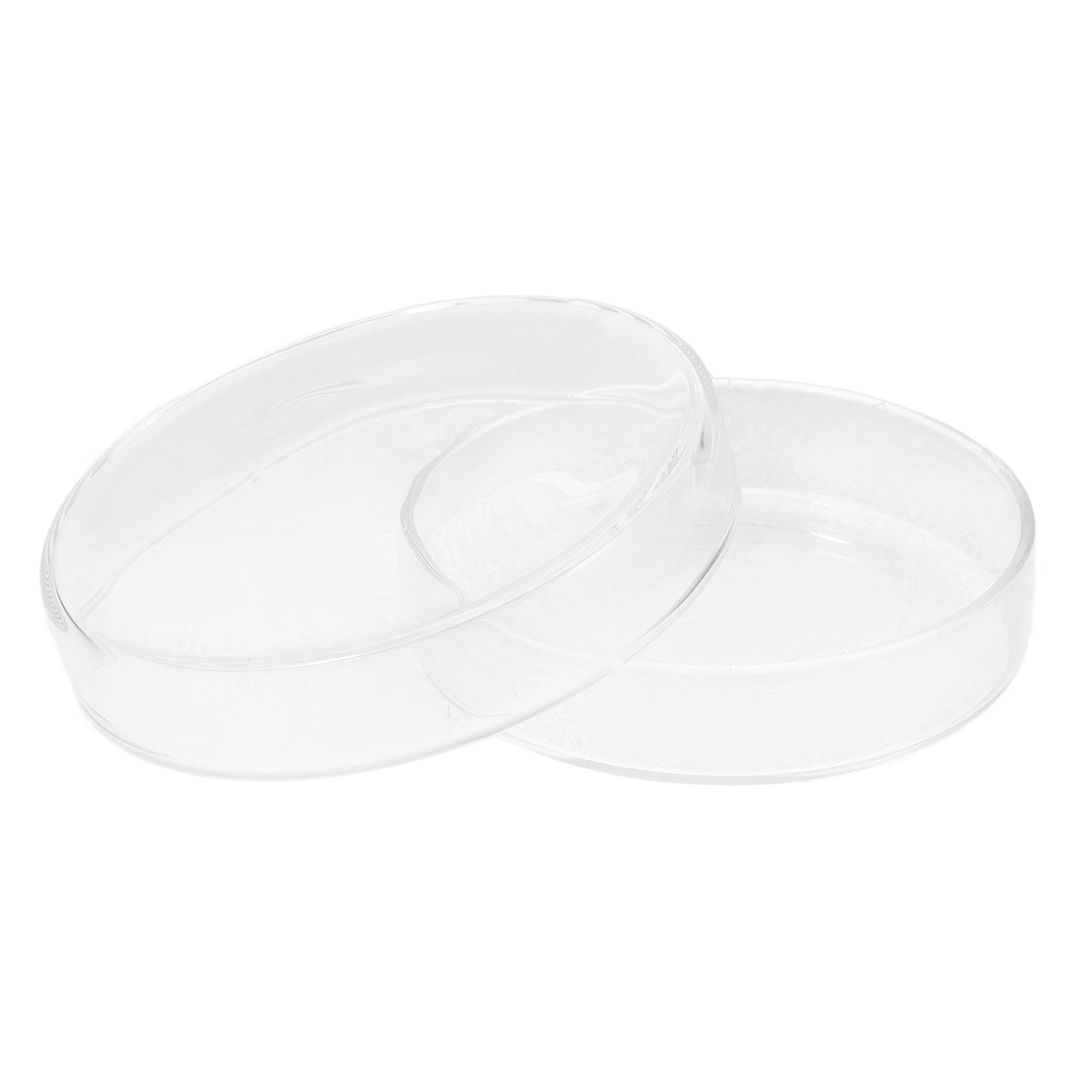 Glass Petri Dish High Borosili - Agar Tissue Culture 리뷰 및 가격