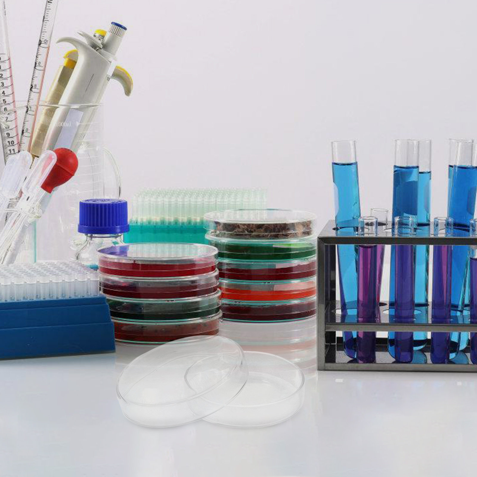 Glass Petri Dish High Borosili - Agar Tissue Culture 리뷰 및 가격