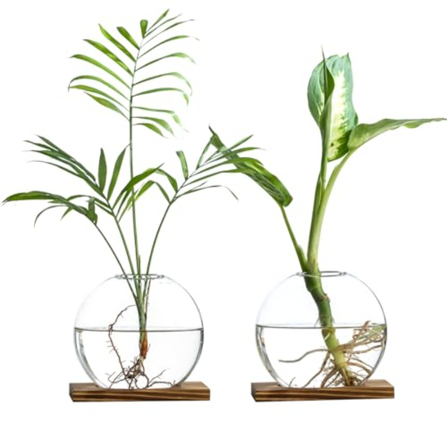 Glass Planter Propagation Stat - Propagation Station Vase 리뷰 및 가격