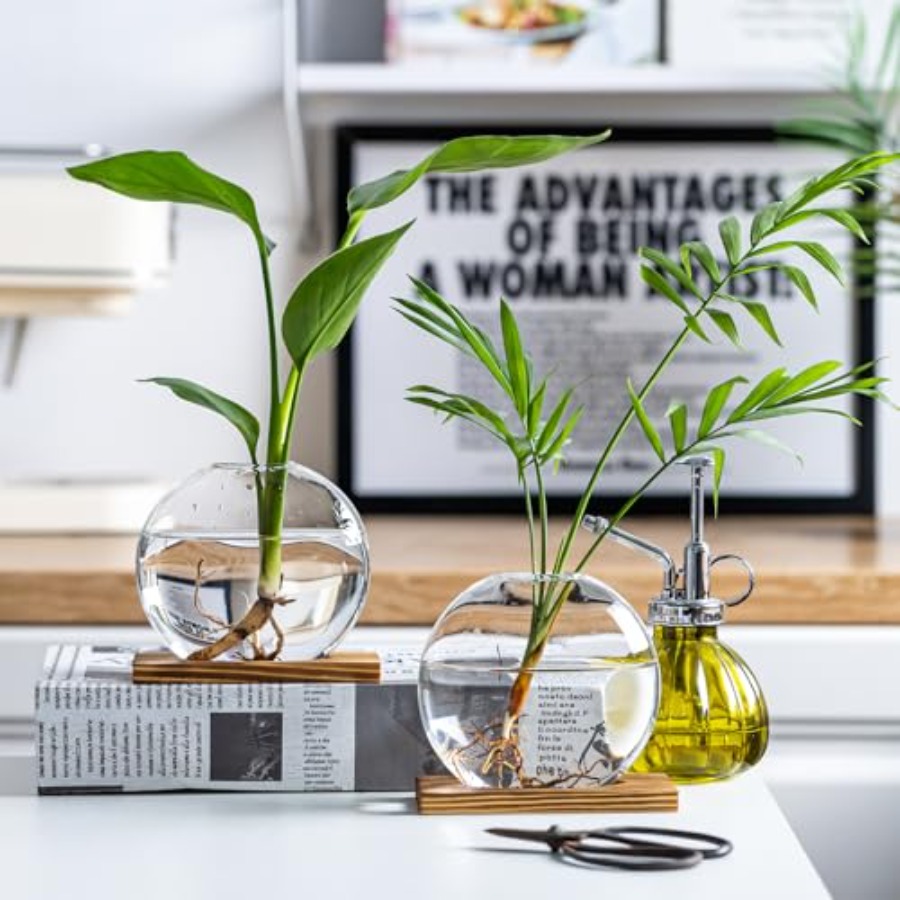 Glass Planter Propagation Stat - Propagation Station Vase 리뷰 및 가격