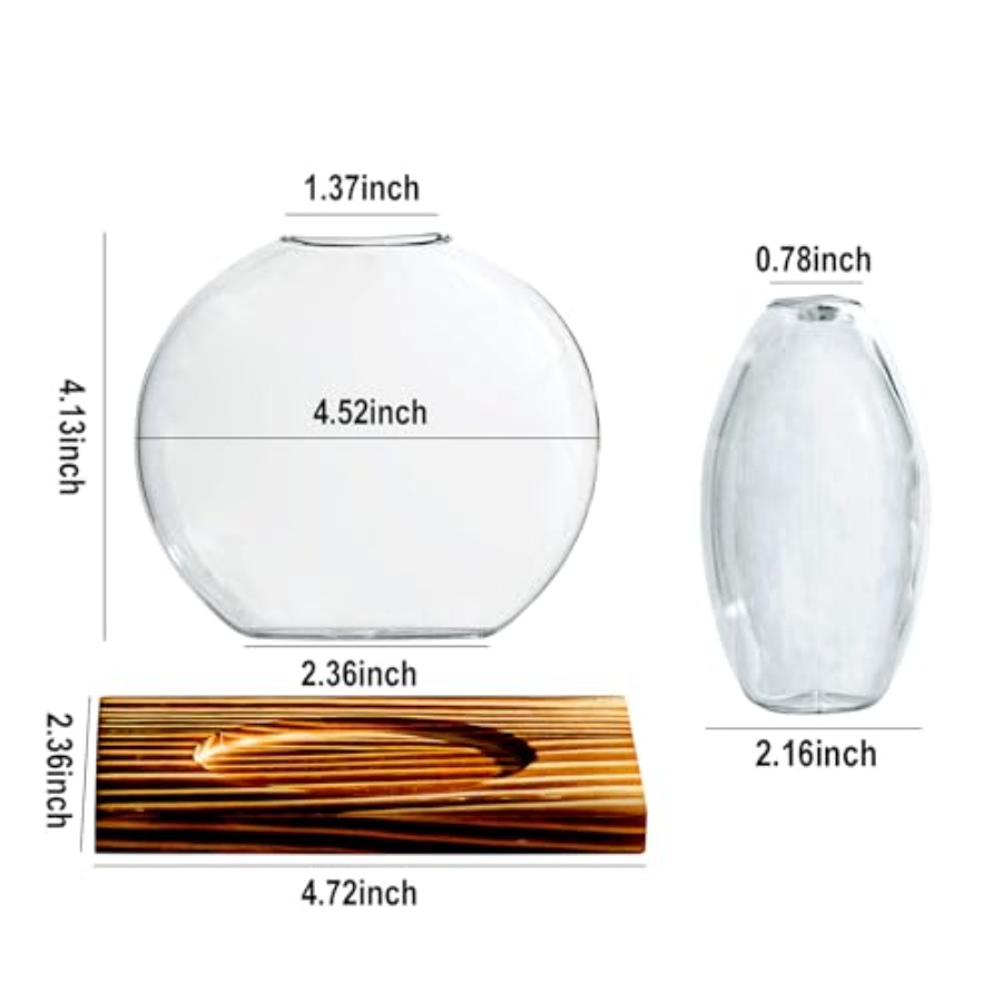 Glass Planter Propagation Stat - Propagation Station Vase 리뷰 및 가격
