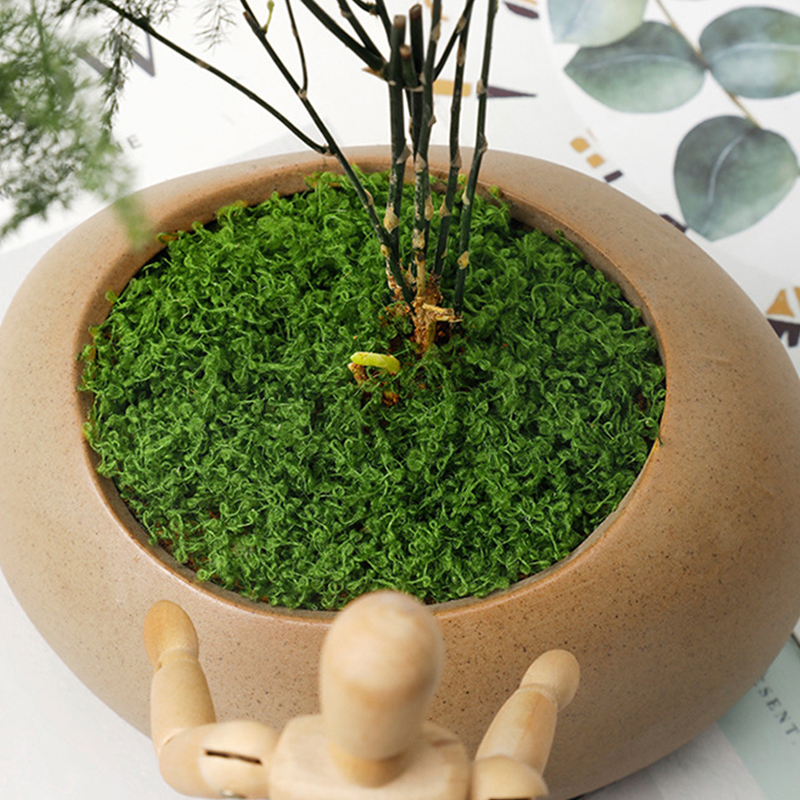 20g/0.7oz Artificial Garden Fa - Sphagnum Moss Dry 리뷰 및 가격