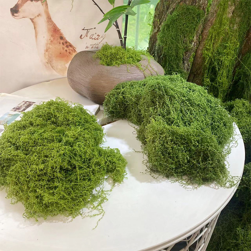 20g/0.7oz Artificial Garden Fa - Sphagnum Moss Dry 리뷰 및 가격