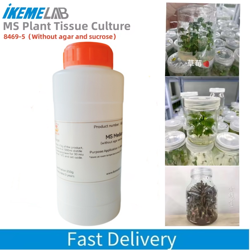 IKEME 250g Lab MS Medium Witho - Agar Tissue Culture 리뷰 및 가격