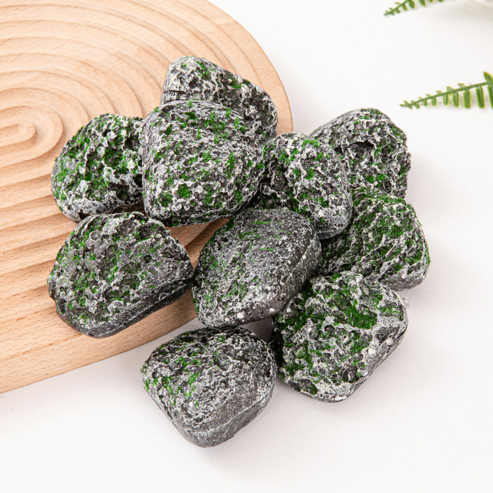 10PCS Mossy Gray Stone Multi-s - Sphagnum Moss Dry 리뷰 및 가격