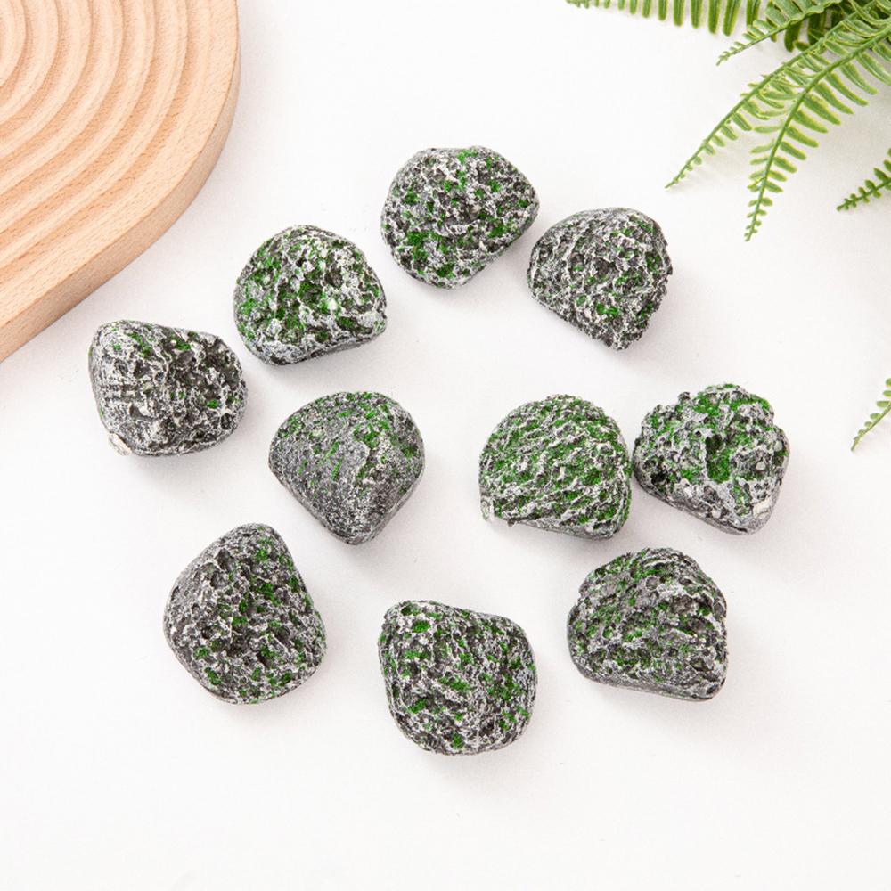 10PCS Mossy Gray Stone Multi-s - Sphagnum Moss Dry 리뷰 및 가격