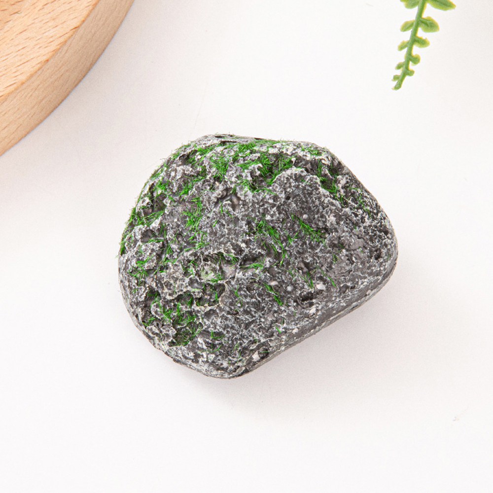 10PCS Mossy Gray Stone Multi-s - Sphagnum Moss Dry 리뷰 및 가격