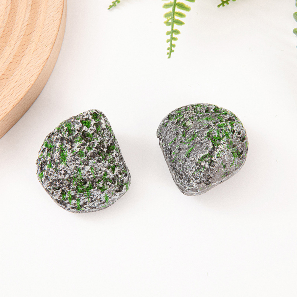 10PCS Mossy Gray Stone Multi-s - Sphagnum Moss Dry 리뷰 및 가격