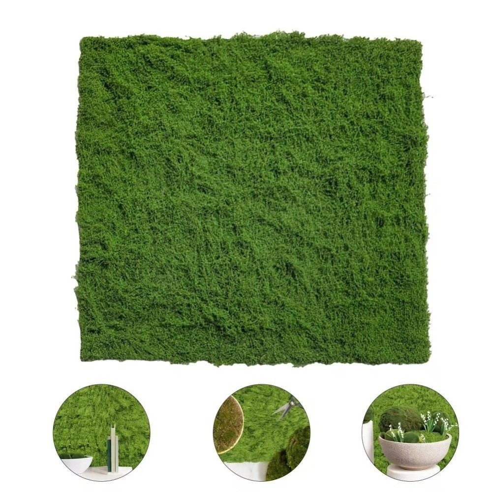 DIY Artificial Grass Rug Lifel - Sphagnum Moss Dry 리뷰 및 가격