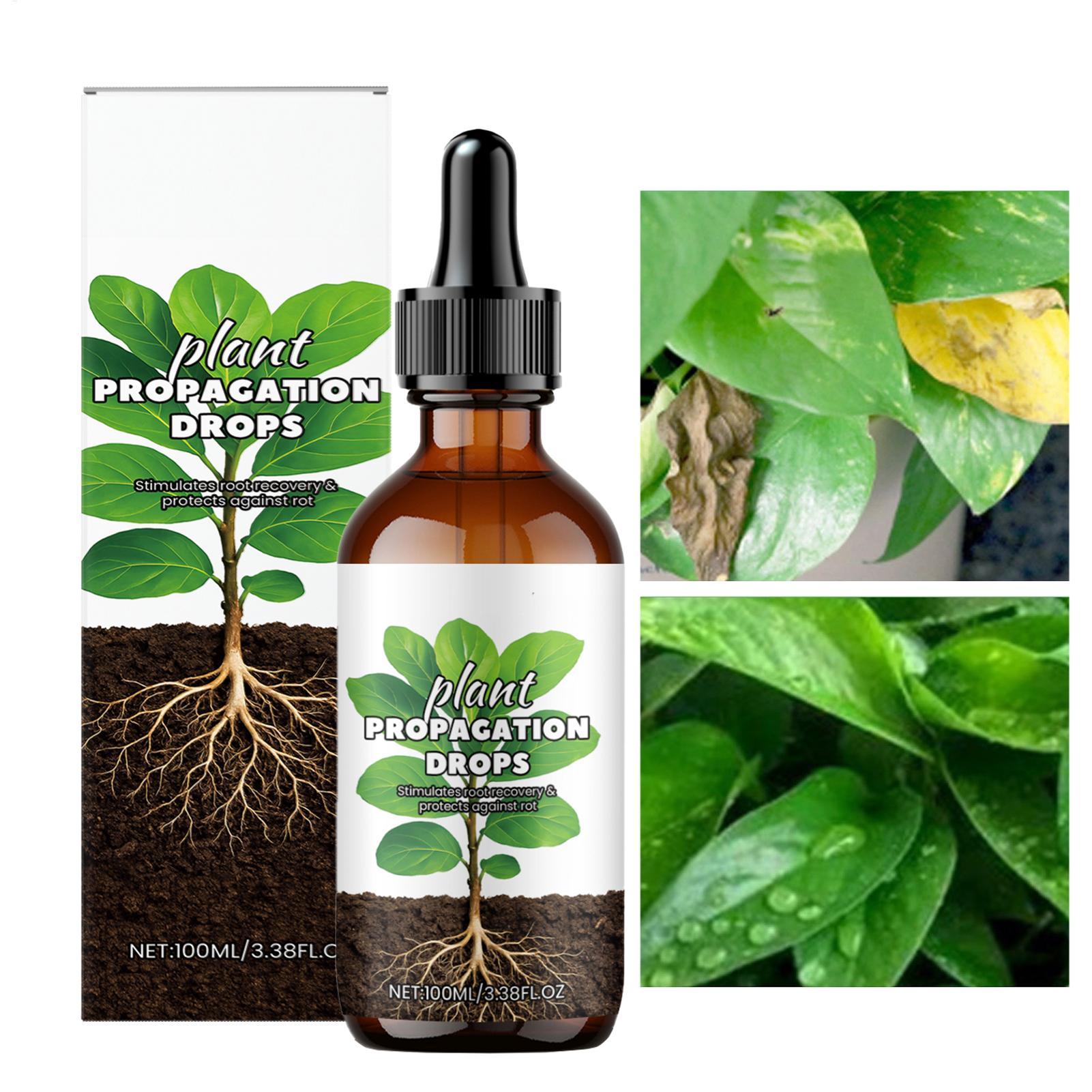 Root Booster 100ml Liquid Root - Root Stimulator Liquid 리뷰 및 가격