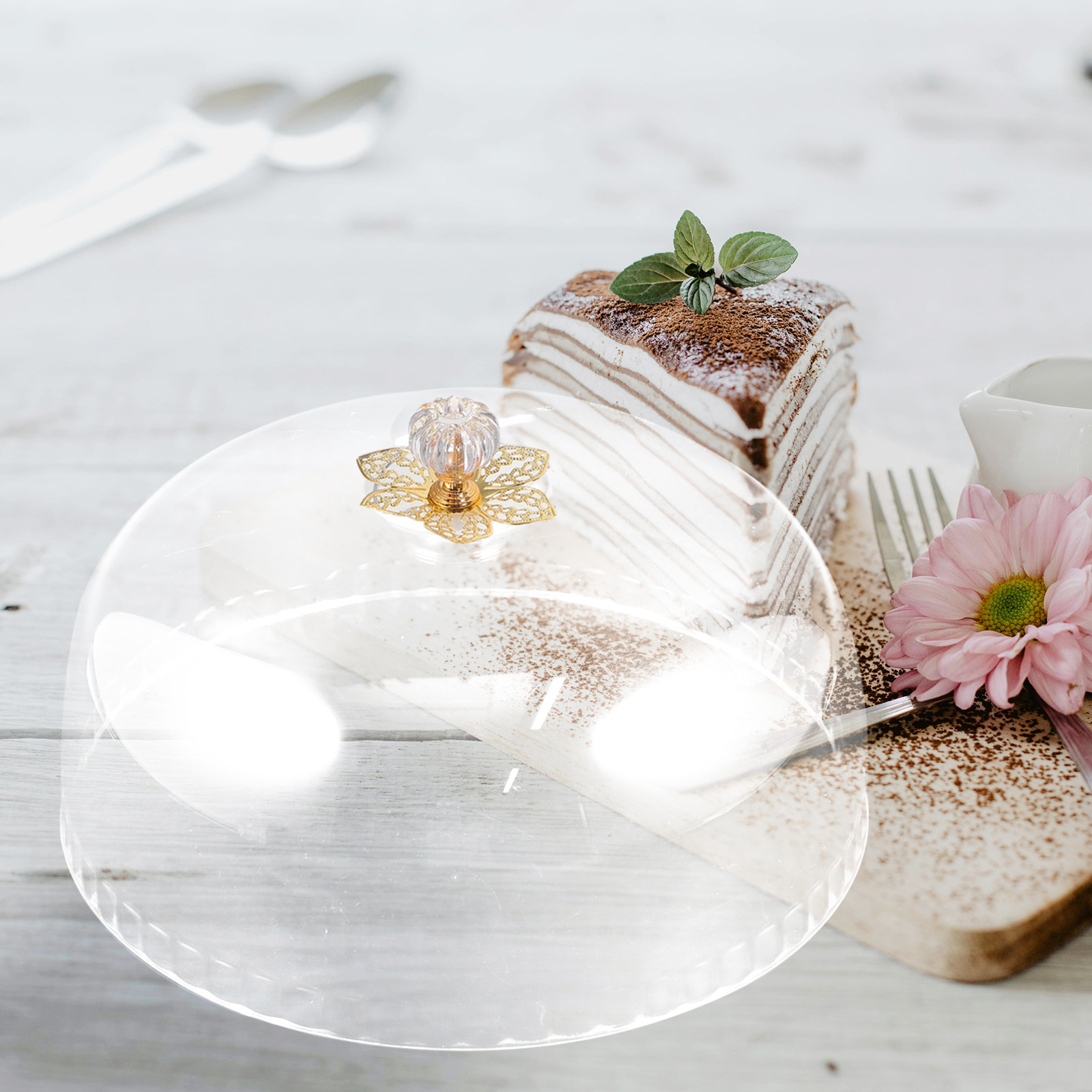 Clear Transparent Cake Dome Ac - Plastic Dome Clear 리뷰 및 가격