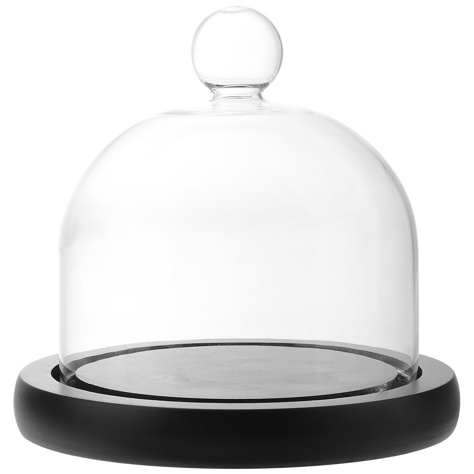 Clear Glass Display Dome for P - Plastic Dome Clear 리뷰 및 가격