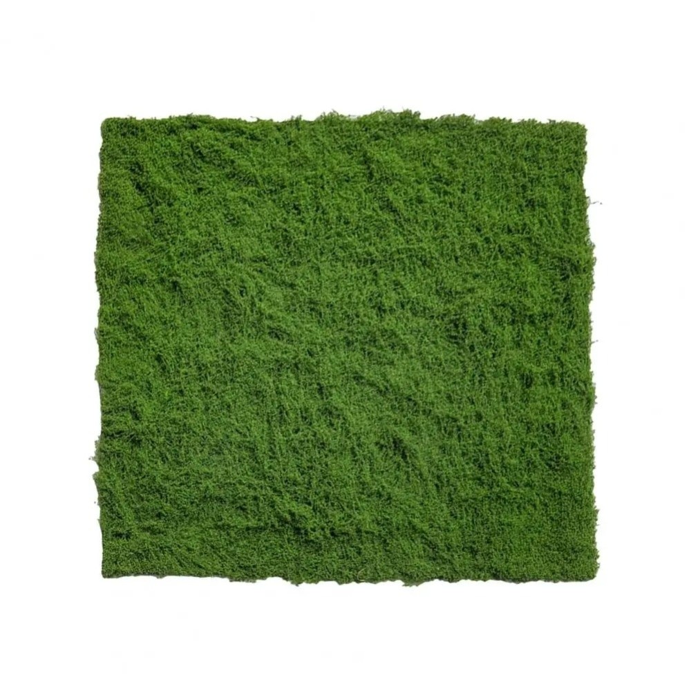 DIY Artificial Grass Rug Durab - Sphagnum Moss Dry 리뷰 및 가격