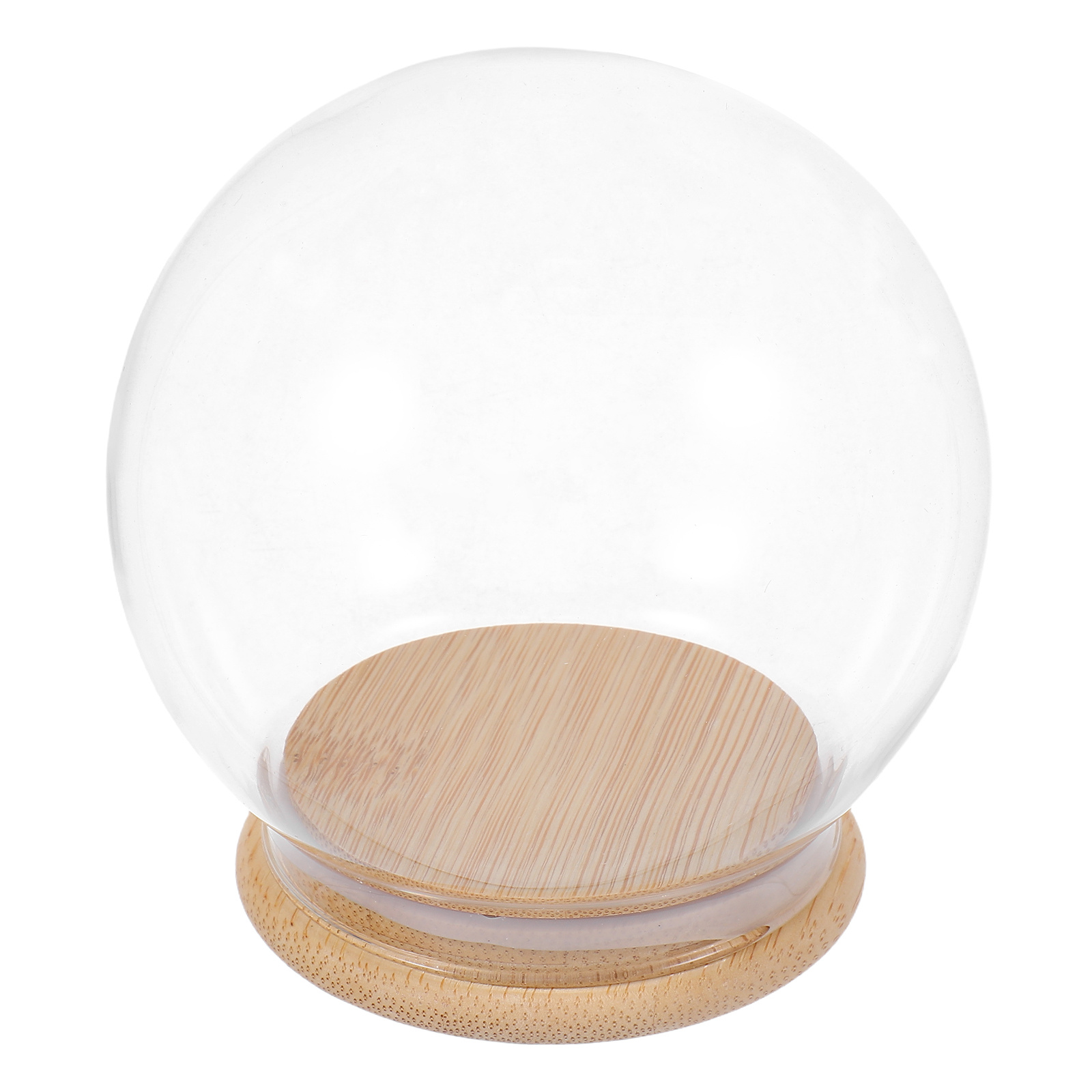 Glass Dome Eternal Flower Disp - Plastic Dome Clear 리뷰 및 가격