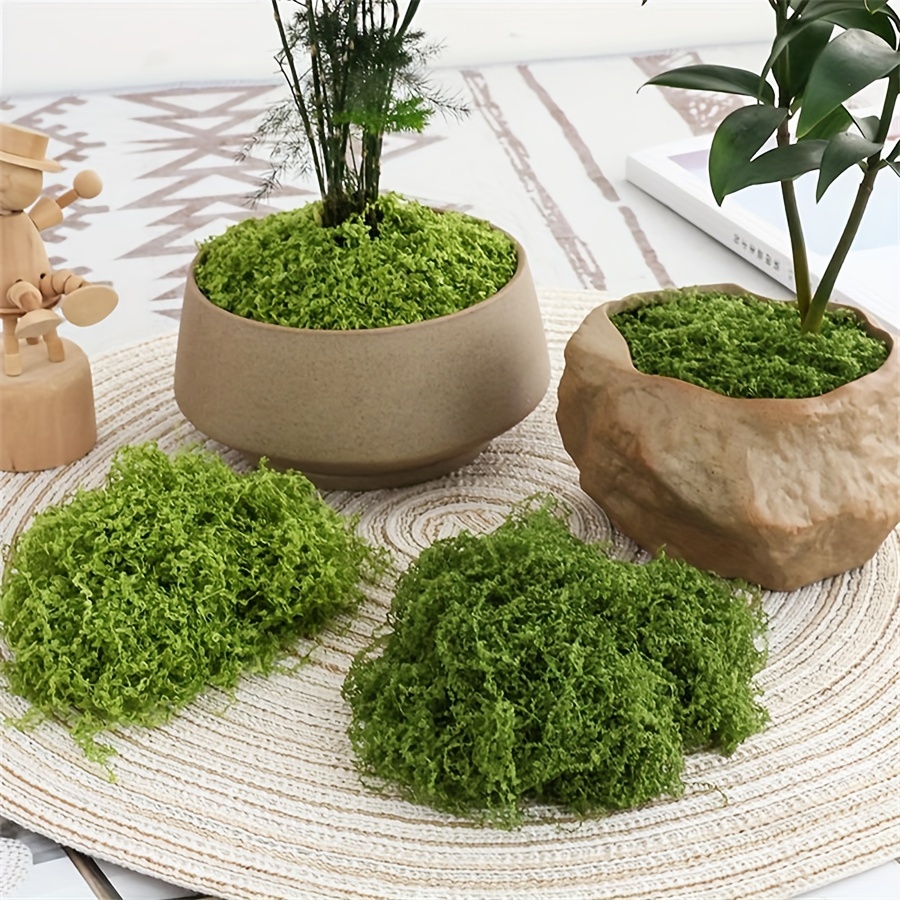 1pack Artificial Fake Moss, 1. - Sphagnum Moss Dry 리뷰 및 가격