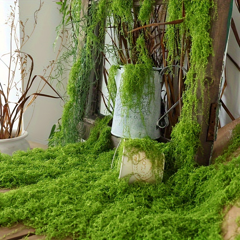 1pack Artificial Fake Moss, 1. - Sphagnum Moss Dry 리뷰 및 가격