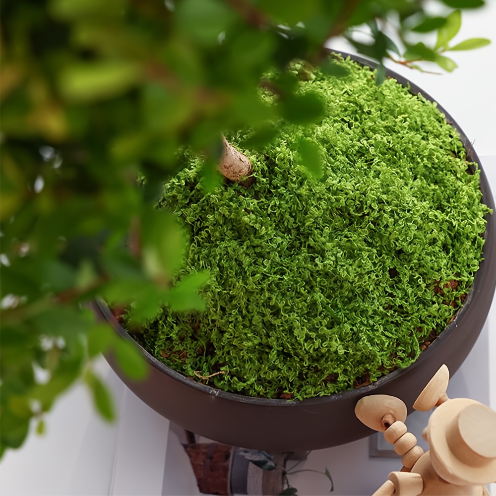 1pack Artificial Fake Moss, 1. - Sphagnum Moss Dry 리뷰 및 가격