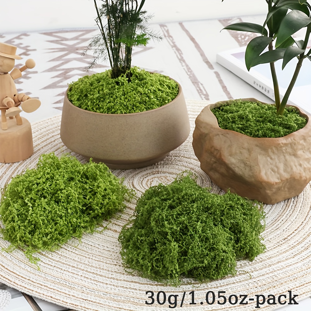 1pack Artificial Fake Moss, 1. - Sphagnum Moss Dry 리뷰 및 가격