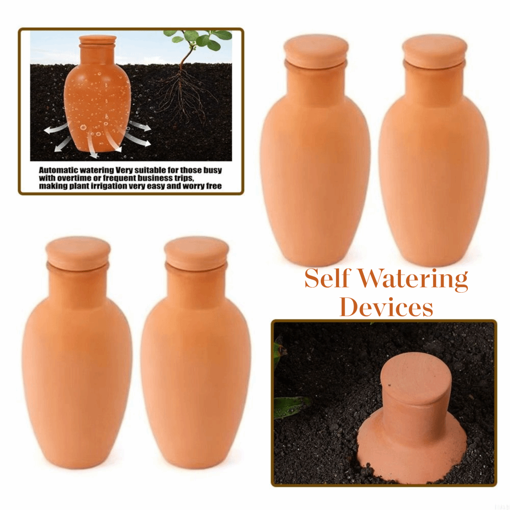4Pcs Terracotta Material Autom - Self Watering Insert 리뷰 및 가격
