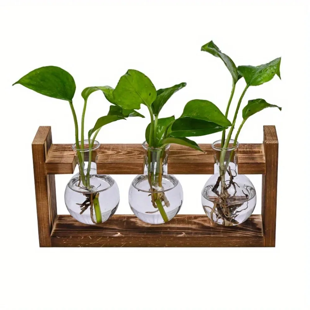 Tabletop Glass Planter Propaga - Propagation Station Vase 리뷰 및 가격