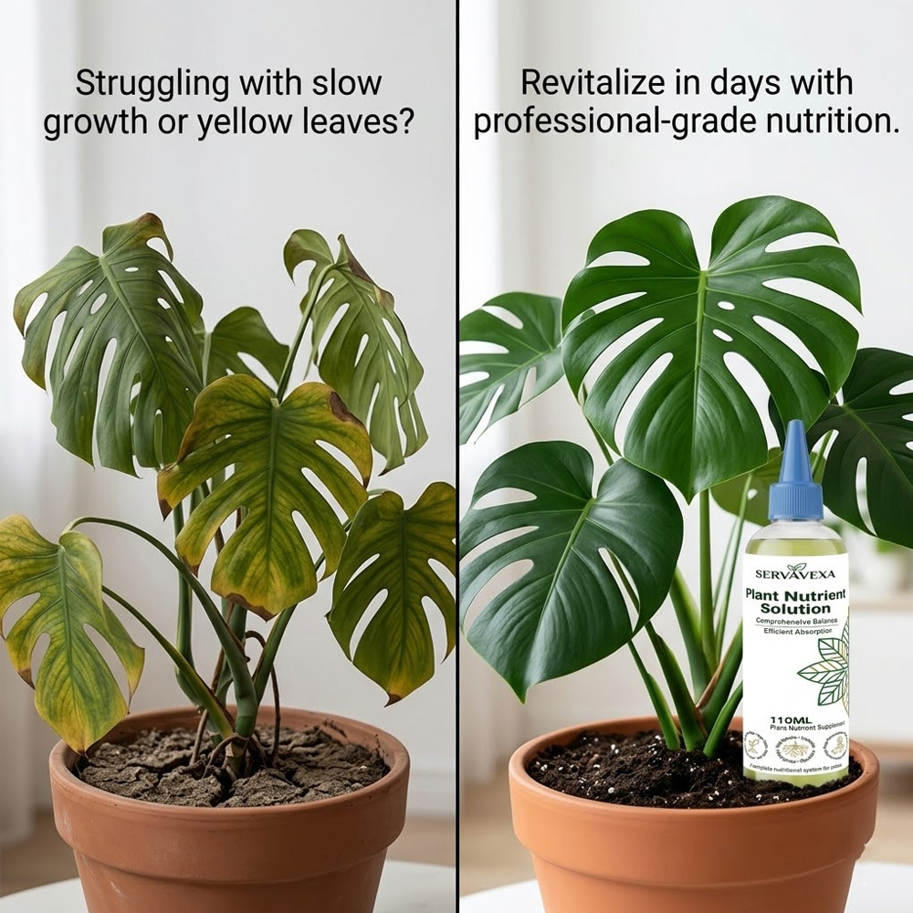 Plant  Nutrient Solution Rapid - Root Stimulator Liquid 리뷰 및 가격