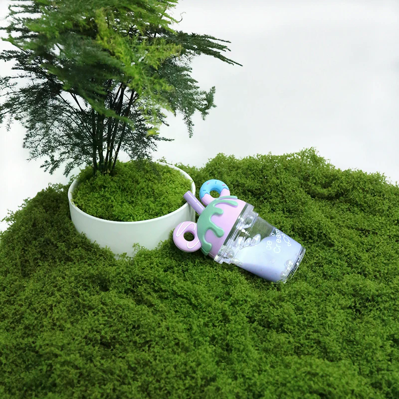 50g Fake Moss DIY Crafts Grass - Sphagnum Moss Dry 리뷰 및 가격
