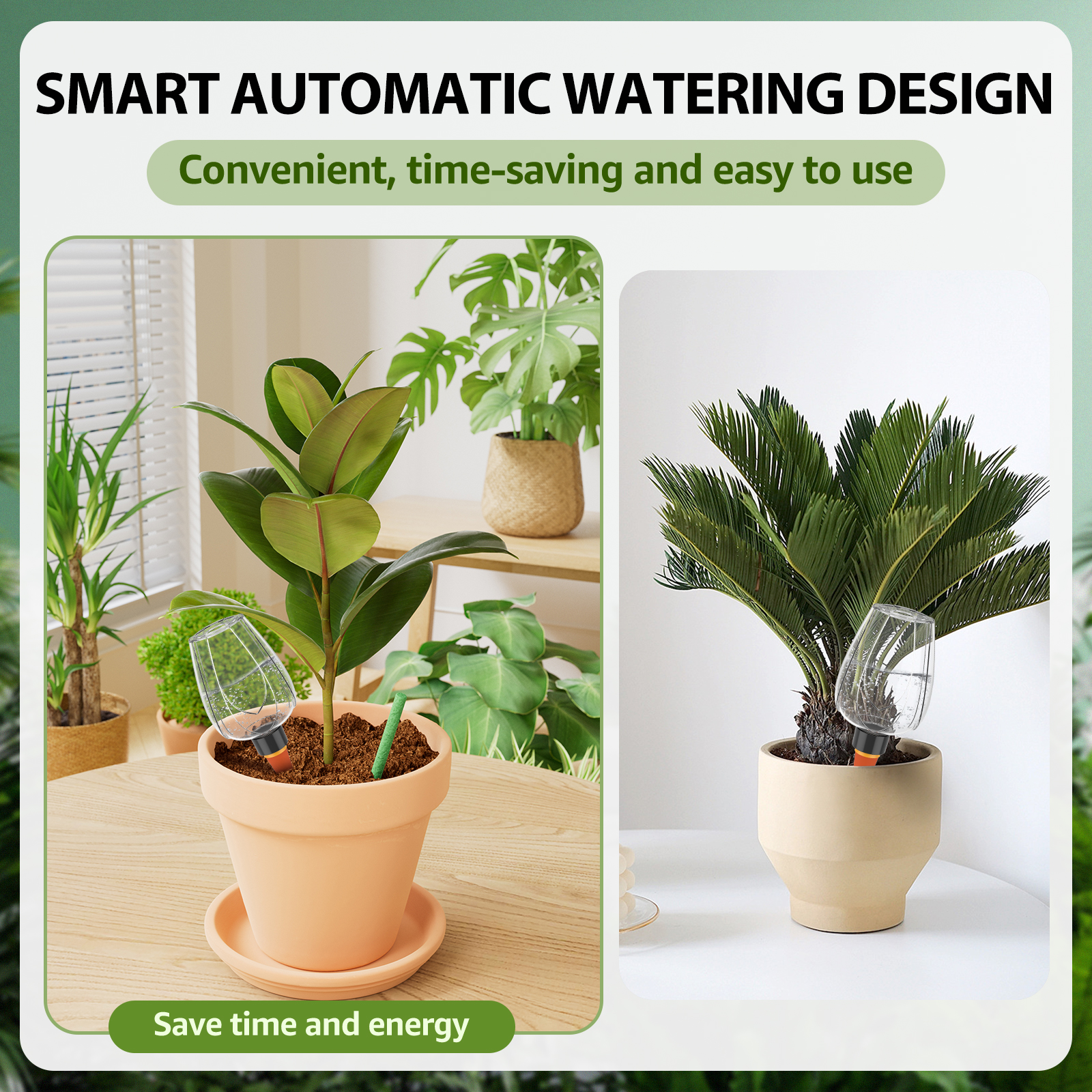 4Pcs Plant Watering Globe Clea - Self Watering Insert 리뷰 및 가격