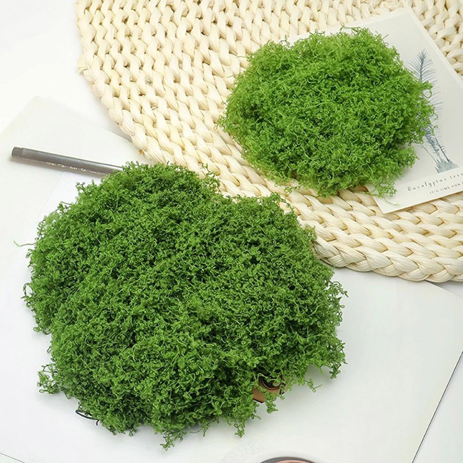 50/200g Artificial Moss For De - Sphagnum Moss Dry 리뷰 및 가격