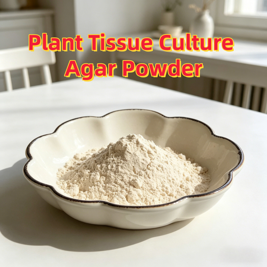 High Gel Strength Plant Tissue - Agar Tissue Culture 리뷰 및 가격