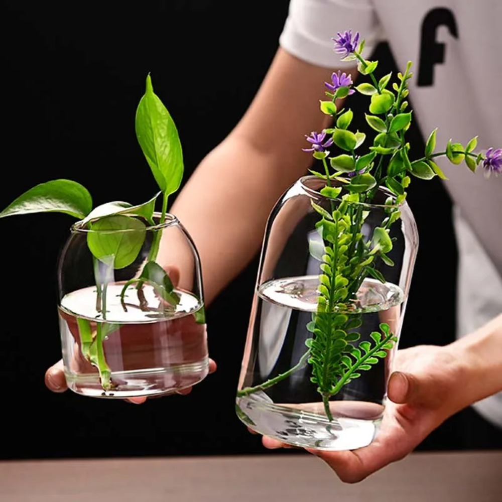 Creative Hydroponic Plant Glas - Propagation Station Vase 리뷰 및 가격