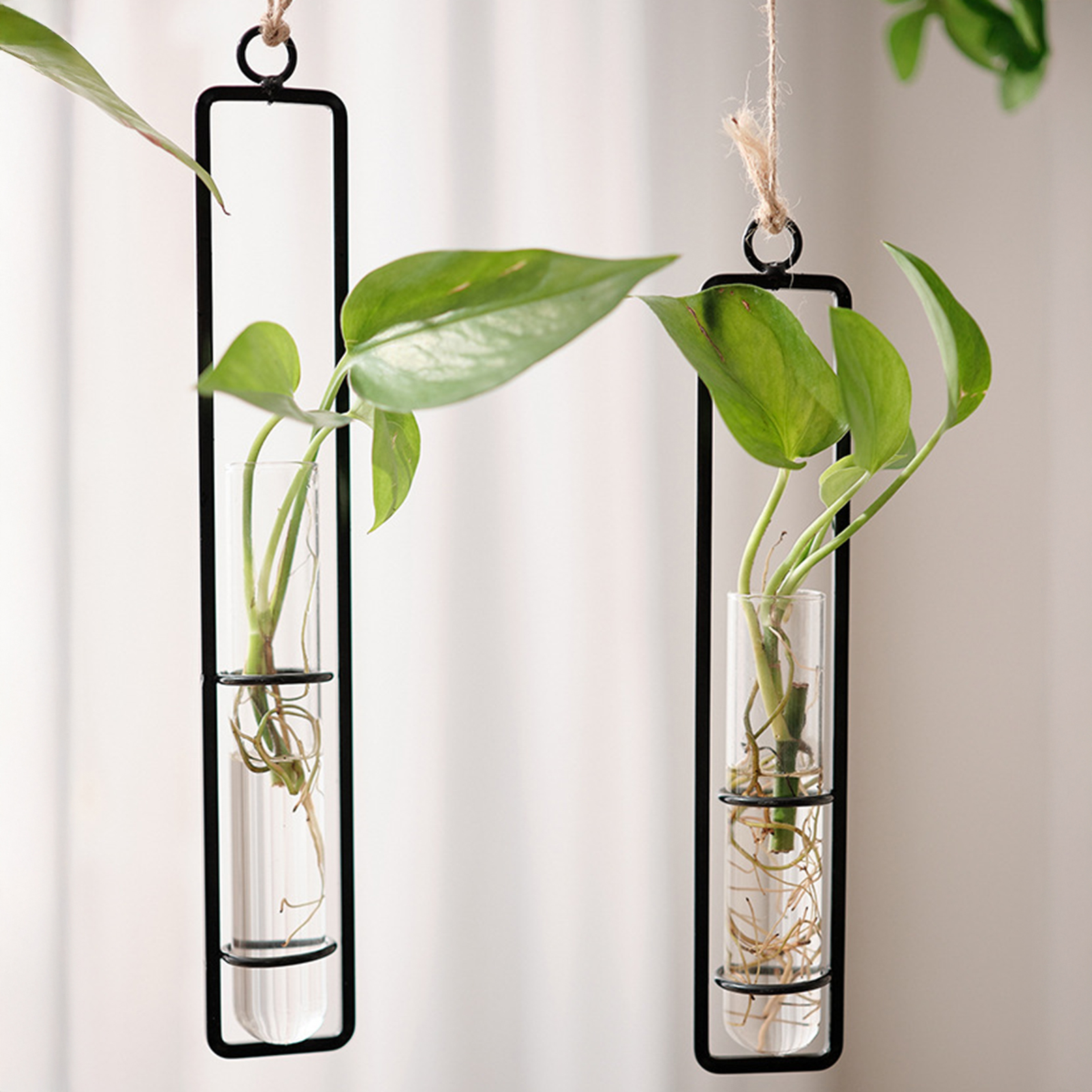 Wall Hanging Glass Vase Europe - Propagation Station Vase 리뷰 및 가격