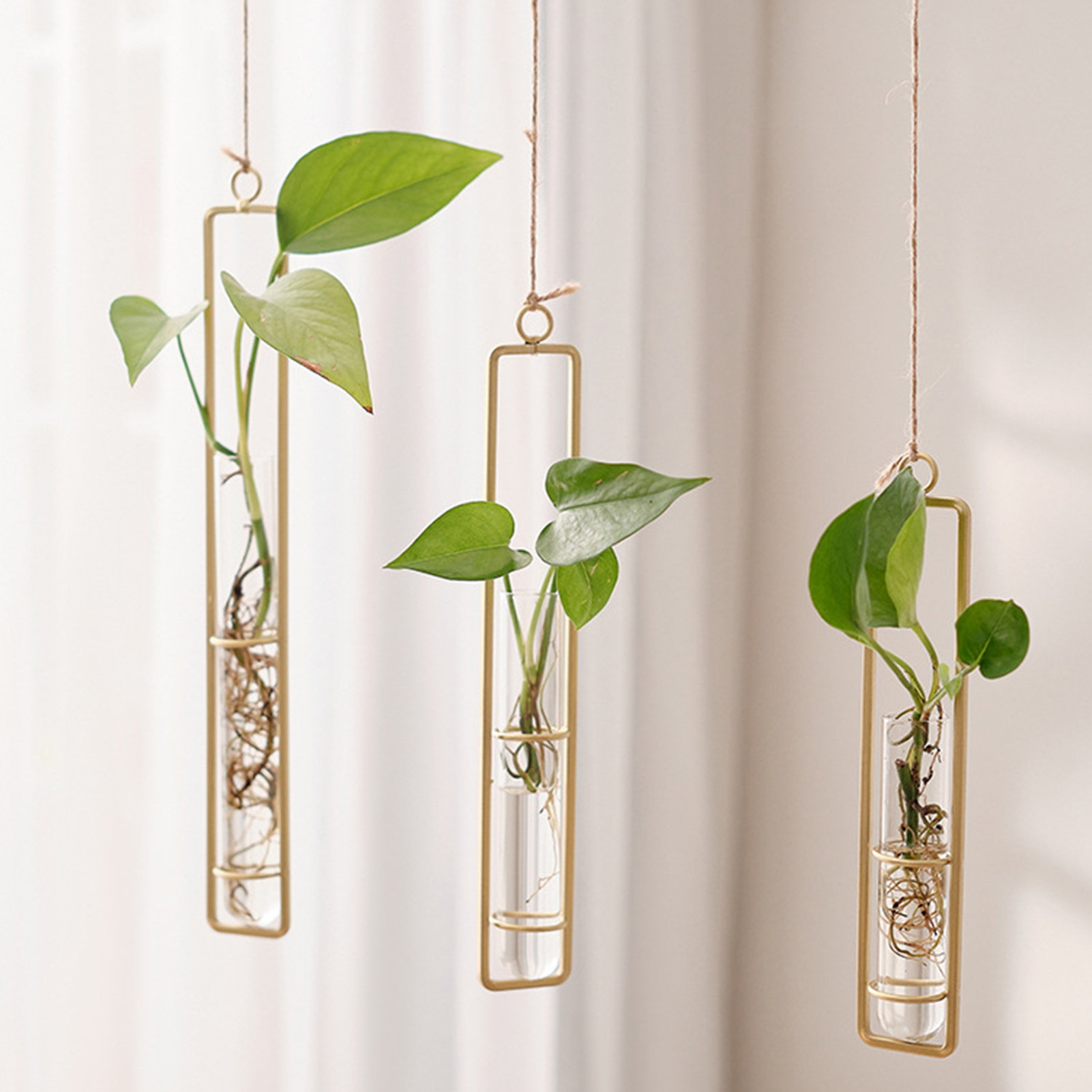 Wall Hanging Glass Vase Europe - Propagation Station Vase 리뷰 및 가격
