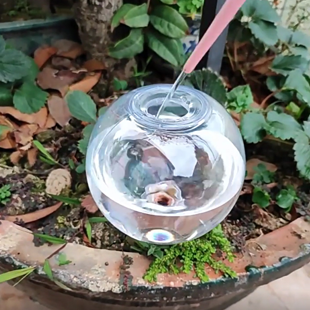500ML Self Watering Globes Dri - Self Watering Insert 리뷰 및 가격