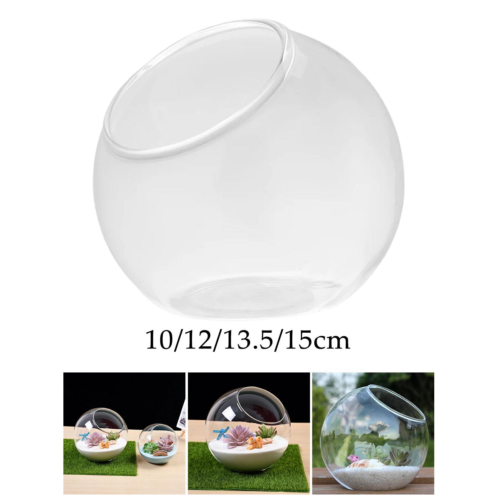 Terrarium Glass Vase Unique Ce - Propagation Station Vase 리뷰 및 가격
