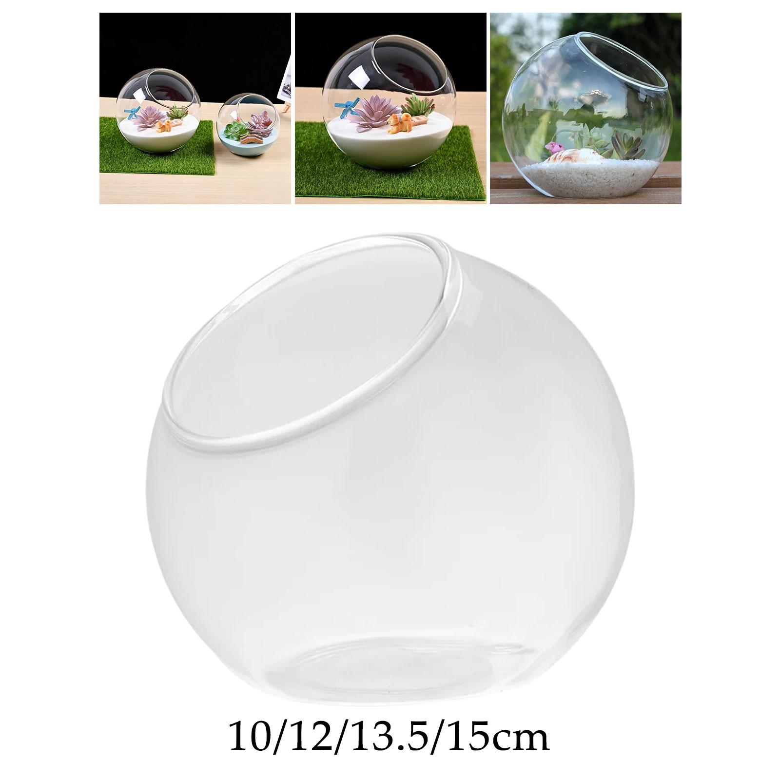 Terrarium Glass Vase Unique Ce - Propagation Station Vase 리뷰 및 가격