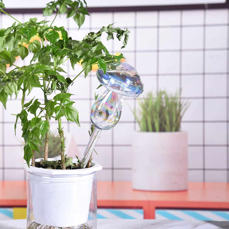 1/2PCS Glass Straw Automatic P - Self Watering Insert 리뷰 및 가격