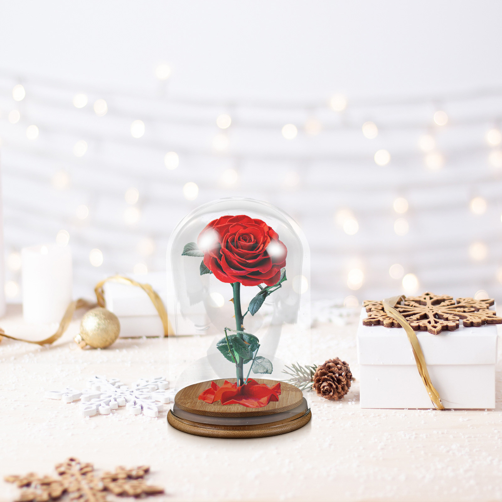 Glass Cloche Display Dome Bell - Plastic Dome Clear 리뷰 및 가격