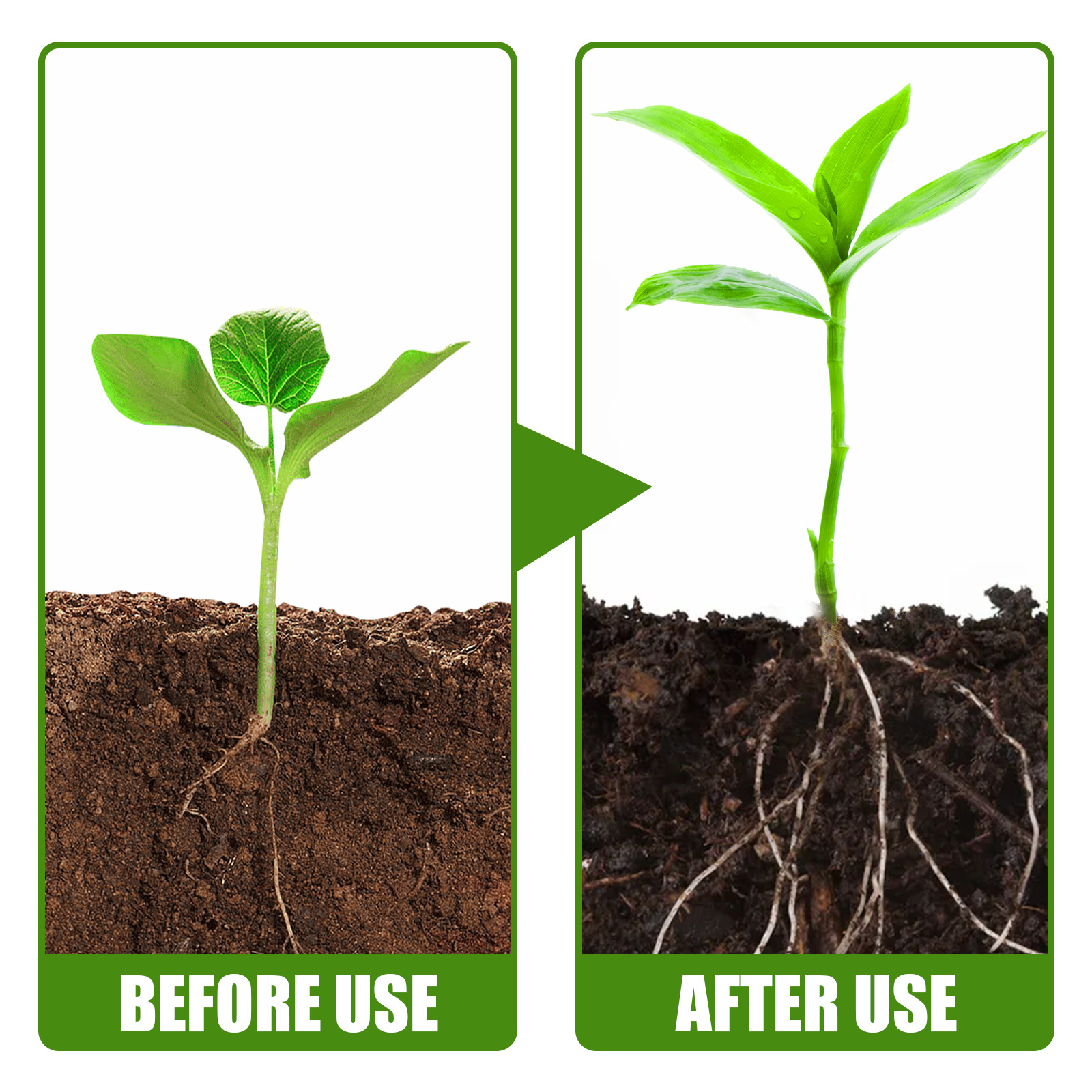 1Rare Plant Rooting Powder Pla - Rooting Hormone Powder 리뷰 및 가격