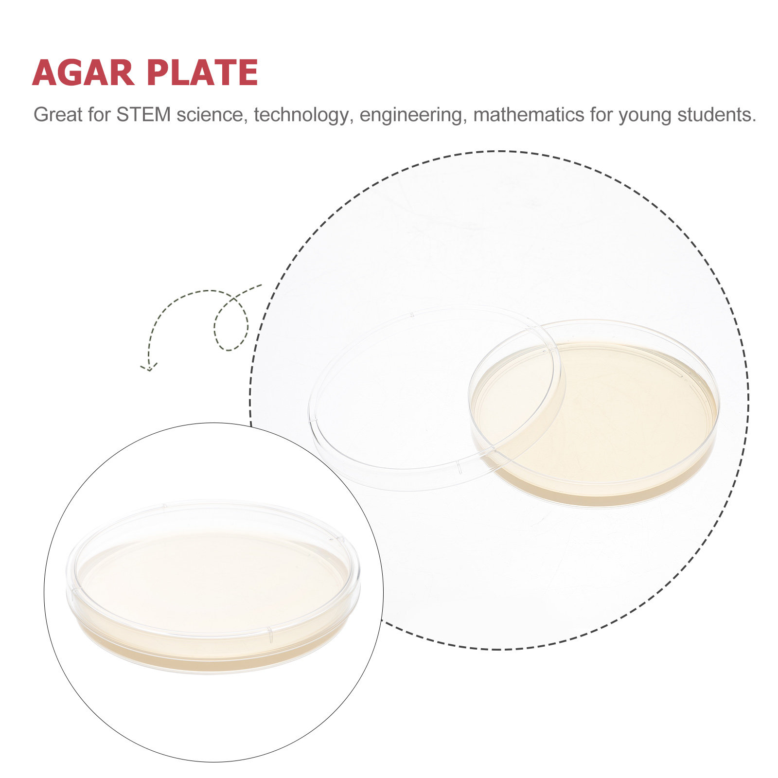 10pcs Nutrient Agar Plates Pre - Agar Tissue Culture 리뷰 및 가격