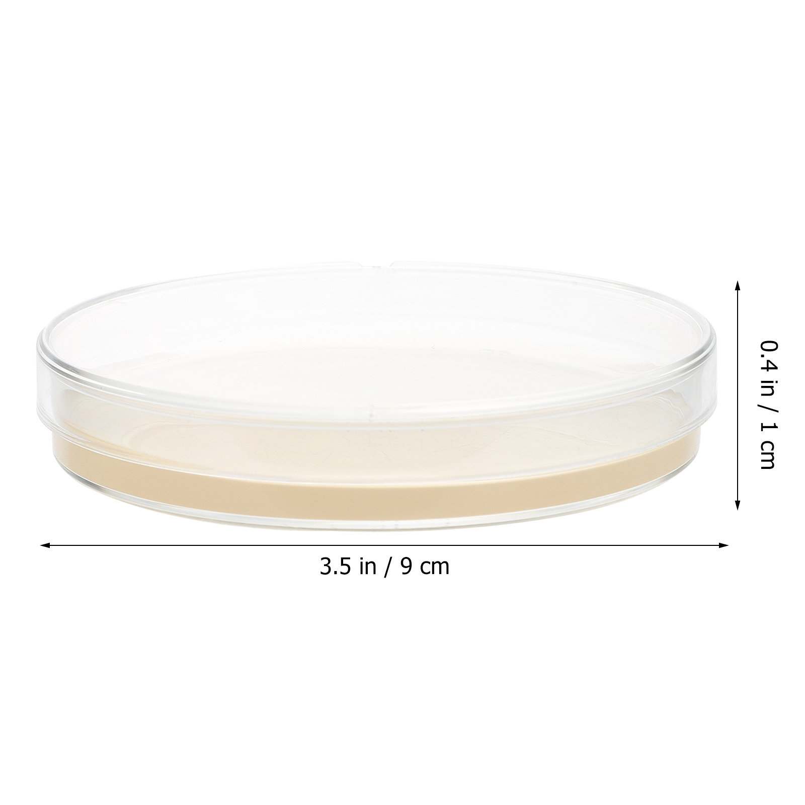 10pcs Nutrient Agar Plates Pre - Agar Tissue Culture 리뷰 및 가격