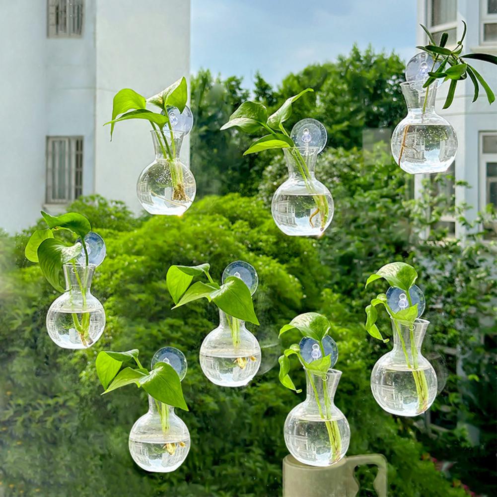 Window Planter Vase Window Pla - Propagation Station Vase 리뷰 및 가격