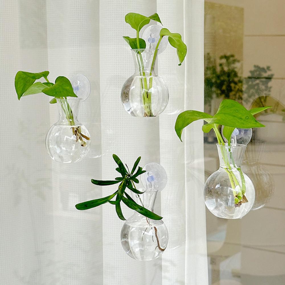 Window Planter Vase Window Pla - Propagation Station Vase 리뷰 및 가격