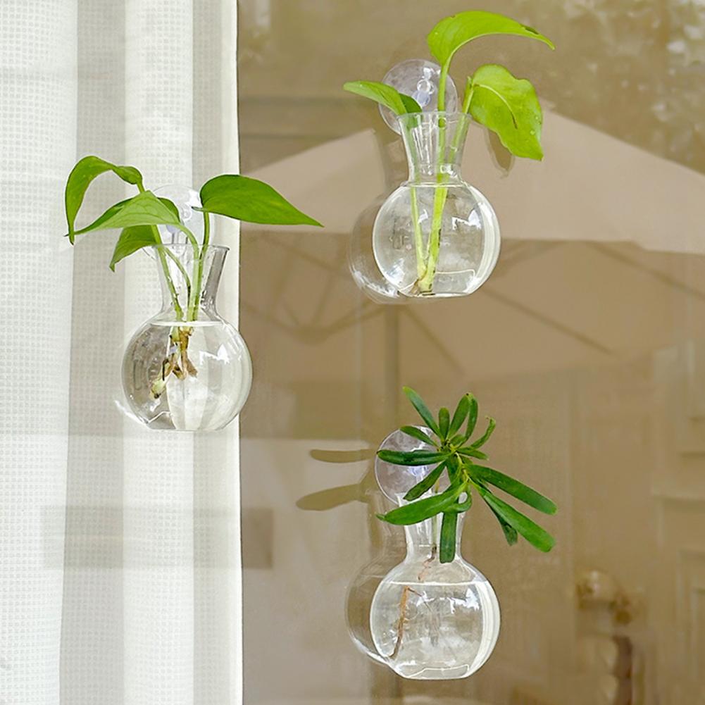 Window Planter Vase Window Pla - Propagation Station Vase 리뷰 및 가격