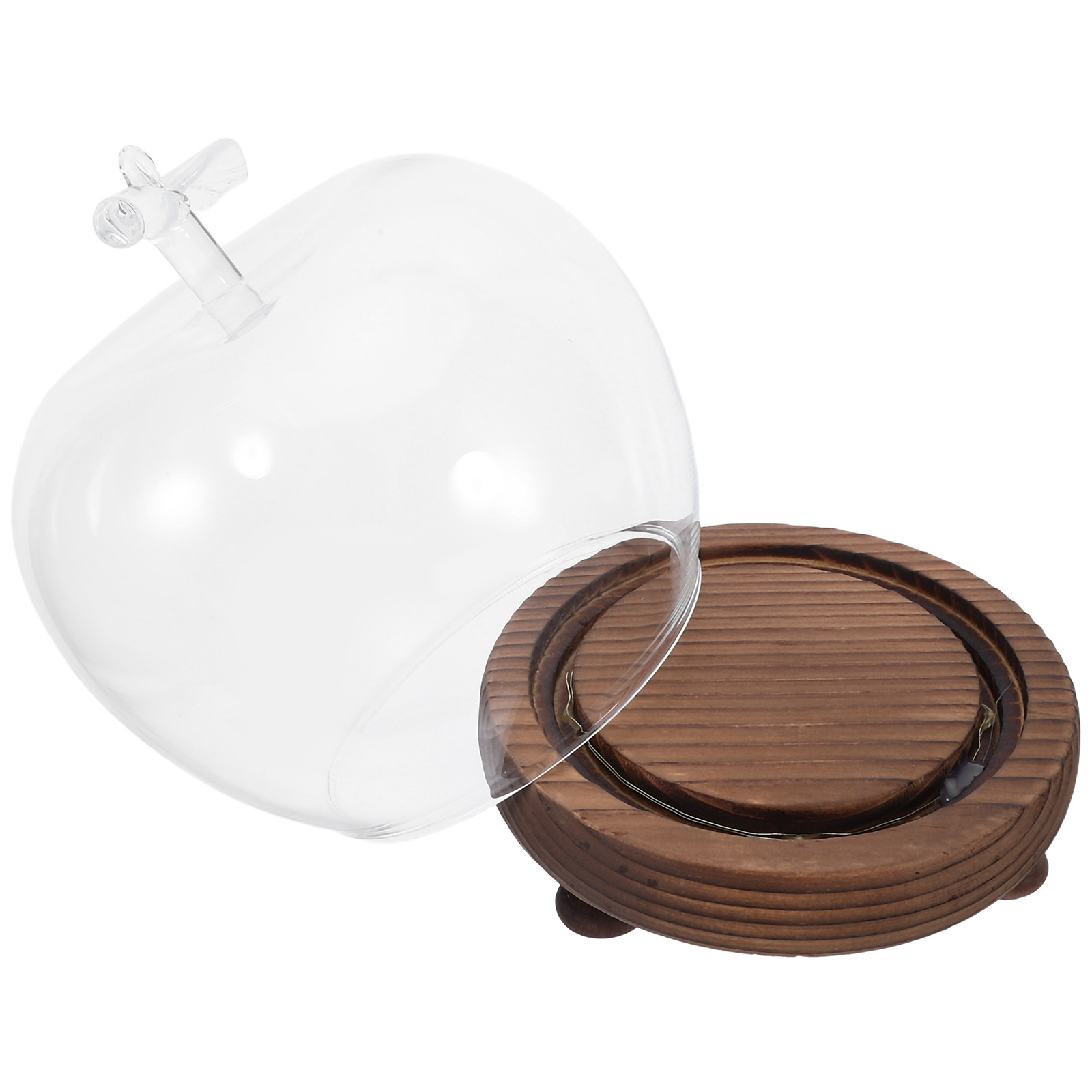 Clear Glass Dome Display with  - Plastic Dome Clear 리뷰 및 가격