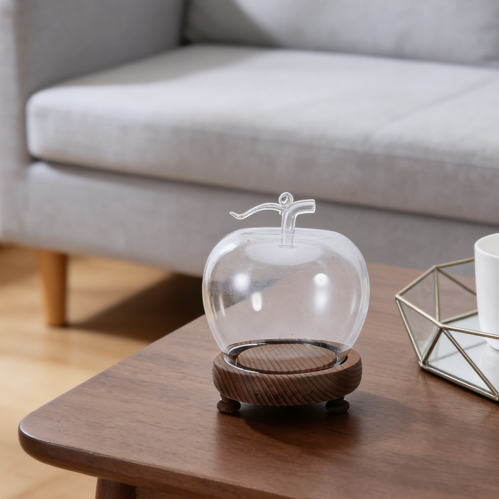 Clear Glass Dome Display with  - Plastic Dome Clear 리뷰 및 가격