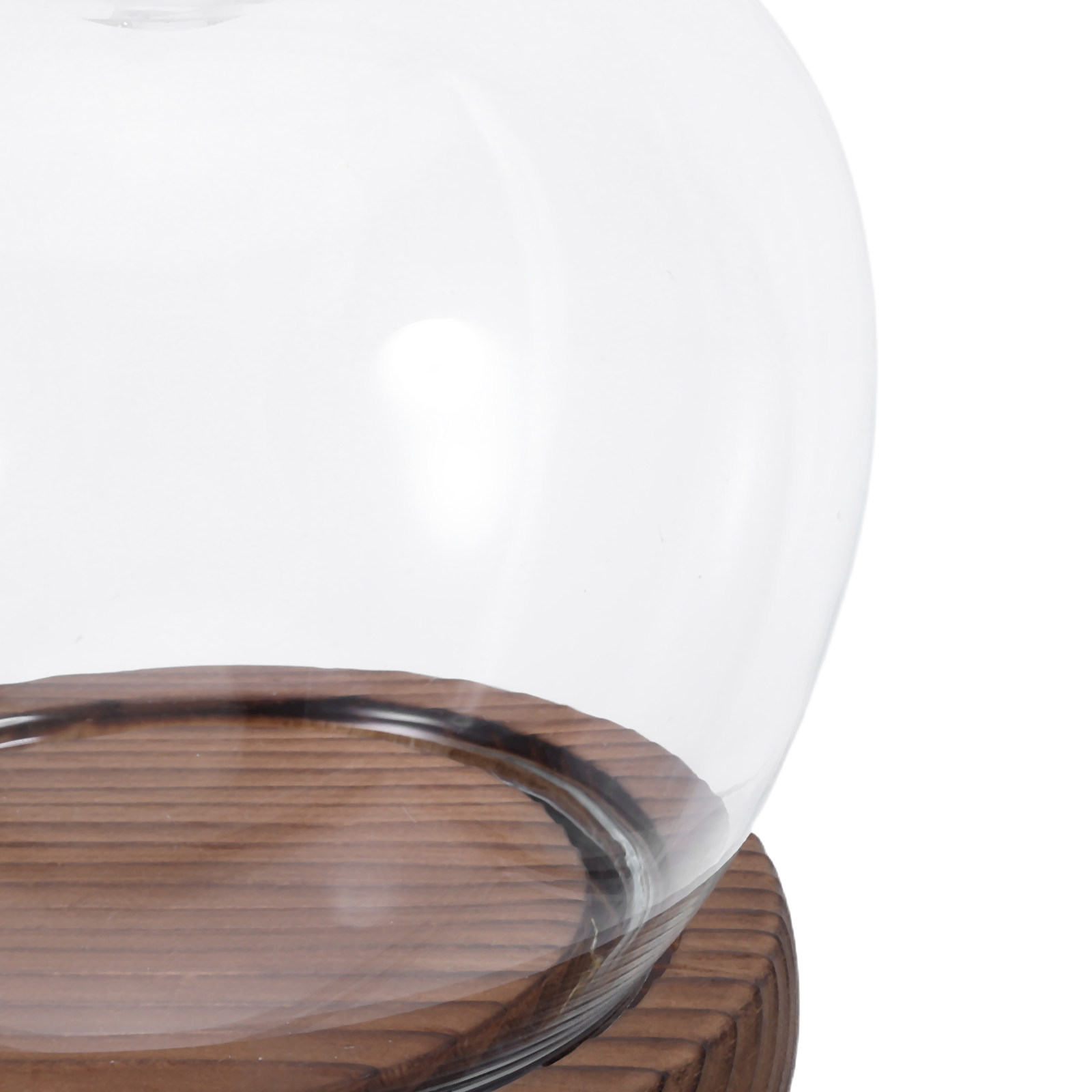 Clear Glass Dome Display with  - Plastic Dome Clear 리뷰 및 가격