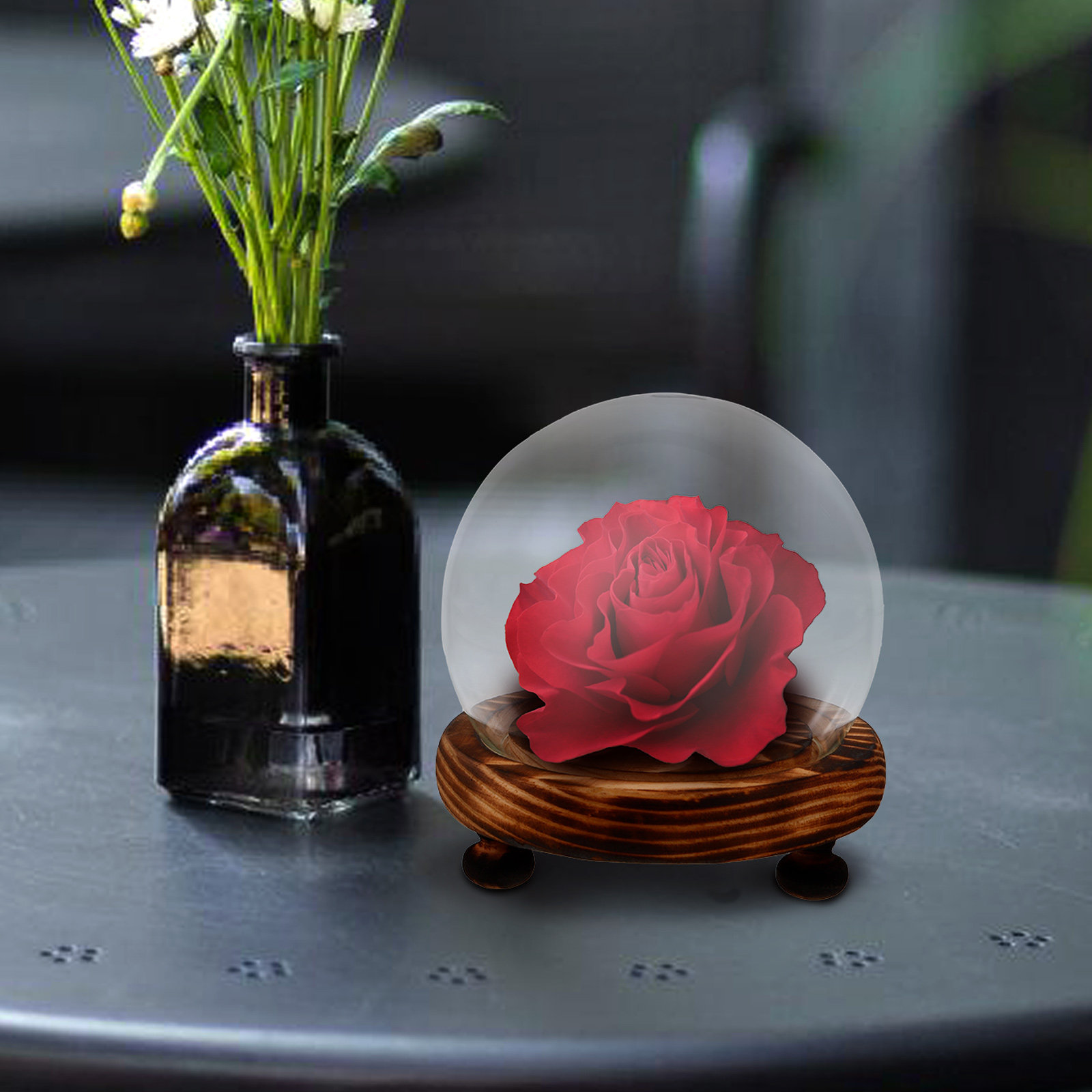 Glass Dome Display Case with W - Plastic Dome Clear 리뷰 및 가격